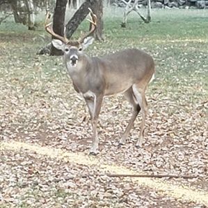Meet your Posher, Tom